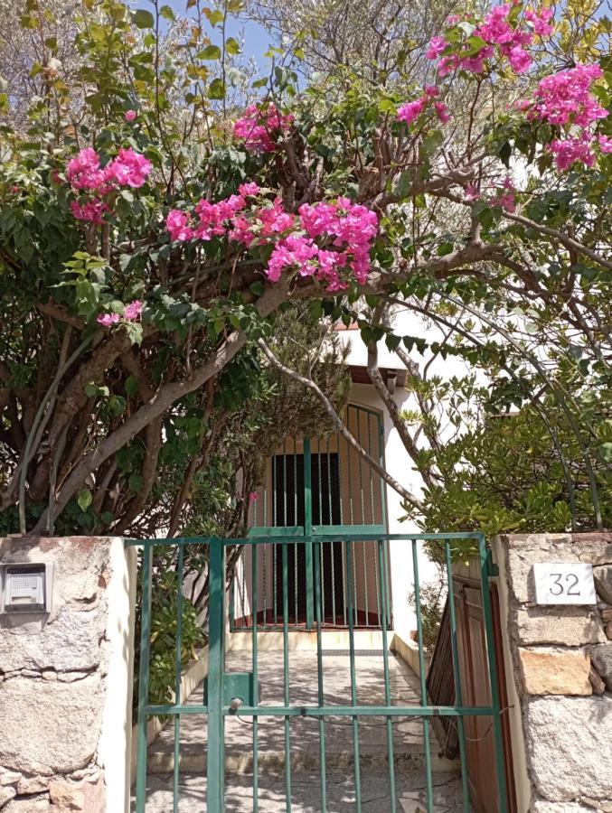 Domus Garden Bed and Breakfast Olbia Eksteriør billede